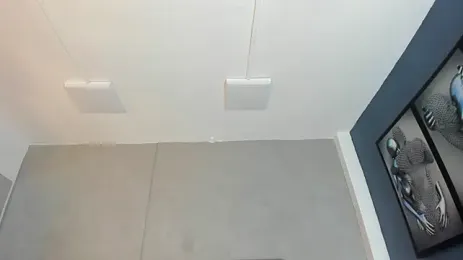 Charlie___Musk 스트림 이미지