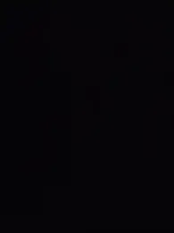 TAMI61 웹캠 미리보기