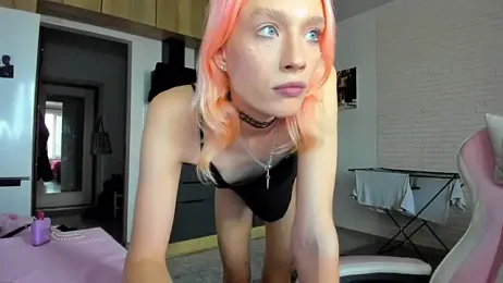 _Alice_Kitty 스트림 이미지